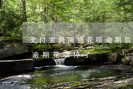 支付宝网商贷花呗逾期后果-支付宝网商贷逾期花呗停了