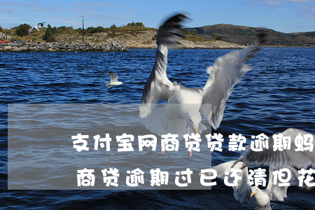 支付宝网商贷贷款逾期蚂蚁花呗-支付宝网商贷逾期过,已还清,但花呗无法用