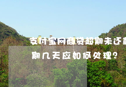 支付宝网商贷超期未还款会有什么后果？逾期几天应如何处理？