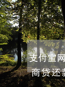 支付宝网商贷还款日是什么时候-支付宝网商贷还款日是什么时候还