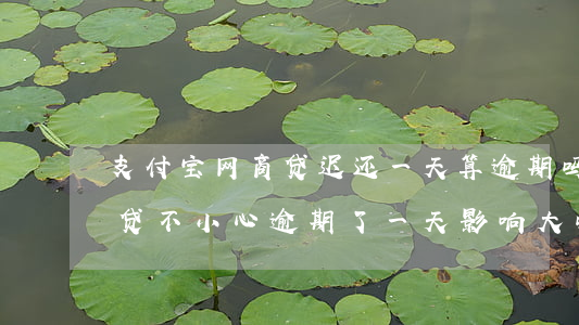 支付宝网商贷迟还一天算逾期吗(支付宝网商贷不小心逾期了一天影响大吗)
