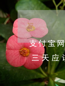 支付宝网商贷迟还了三天怎么办，网商贷逾期三天，应该怎样处理？支付宝给出了答案！