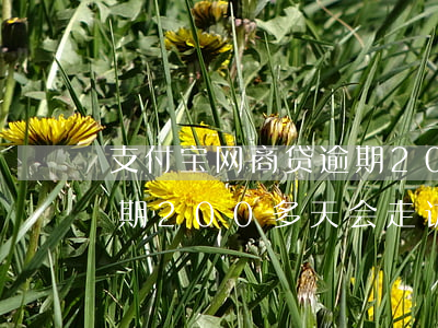 支付宝网商贷逾期200多(支付宝网商贷逾期200多天会走访吗)