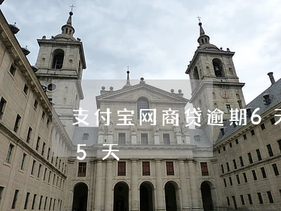 支付宝网商贷逾期6天(支付宝网商贷逾期了5天)