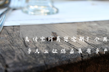 支付宝网商贷逾期9个月(支付宝网商贷逾期多久上征信?后果有多严重)