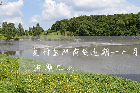 支付宝网商贷逾期一个月（支付宝网商贷可以逾期几次）
