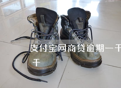 支付宝网商贷逾期一千(支付宝网商贷逾期一千)
