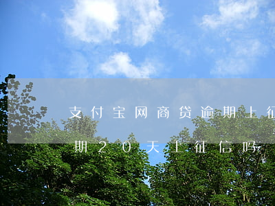 支付宝网商贷逾期上征信吗?（支付宝网商贷逾期20天上征信吗）