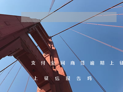 支付宝网商贷逾期上征信 支付宝网商贷逾期上征信报告吗