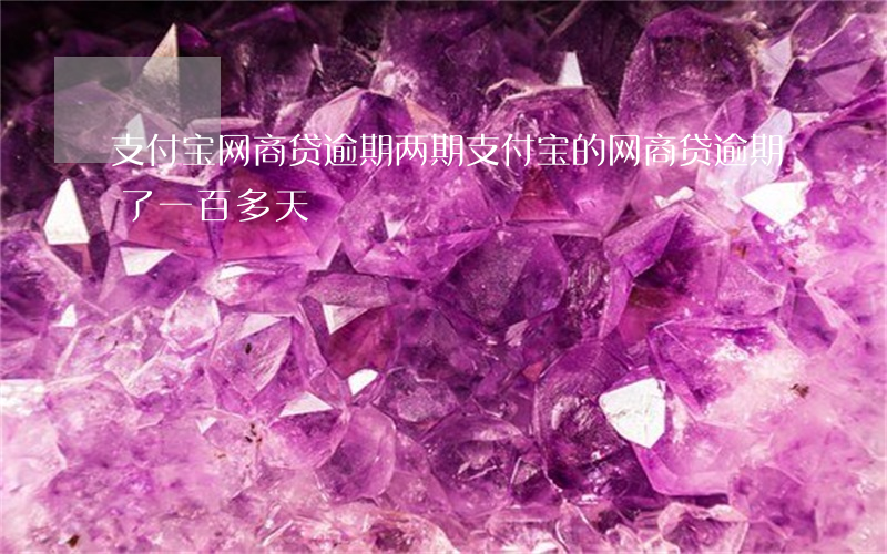 支付宝网商贷逾期两期(支付宝的网商贷逾期了一百多天)