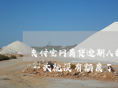 支付宝网商贷逾期人数(支付宝网商贷逾期了一次就没有额度了)