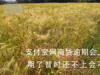 支付宝网商贷逾期会上门吗(支付宝网商贷逾期了暂时还不上会不会坐牢)