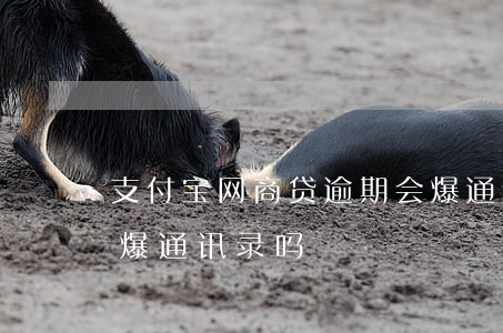 支付宝网商贷逾期会爆通讯录-网商贷逾期爆通讯录吗