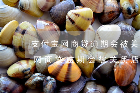 支付宝网商贷逾期会被关闭店铺吗-支付宝网商贷逾期会被关闭店铺吗安全吗