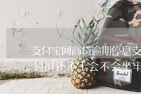 支付宝网商贷逾期停息(支付宝网商贷逾期了暂时还不上会不会坐牢)