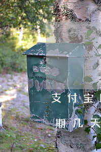 支付宝网商贷逾期几天没事(支付宝网商贷逾期几天受影响吗)