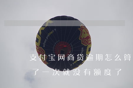 支付宝网商贷逾期怎么算(支付宝网商贷逾期了一次就没有额度了)