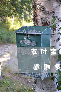 支付宝网商贷逾期有宽限期吗(支付宝网商贷逾期多久,才算严重)