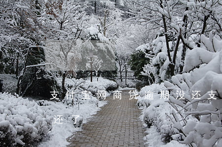 支付宝网商贷逾期没还(支付宝网商贷两年没还了)