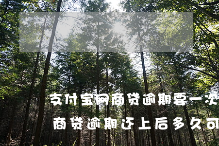 支付宝网商贷逾期要一次性还清吗(支付宝网商贷逾期还上后多久可以使用)