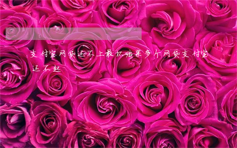 支付宝网贷还不上最坏结果（多个网贷支付宝还不起）