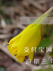 支付宝网贷逾期三个月要紧么(支付宝有网贷逾期三年了申诉能成功吗)