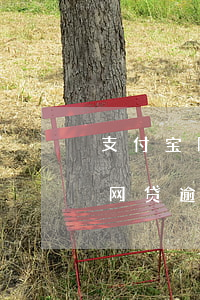支付宝网贷逾期申诉成功加分不(支付宝上有网贷逾期怎么申诉)