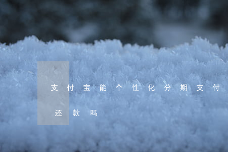 支付宝能个性化分期(支付宝可以申请个性化还款吗)