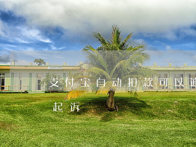 支付宝自动扣款可以追回吗（支付宝自动扣款起诉）