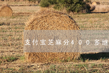 支付宝芝麻分400多继续逾期-