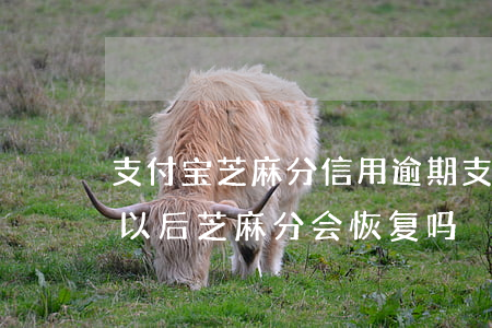 支付宝芝麻分信用逾期(支付宝信用逾期修复以后芝麻分会恢复吗)
