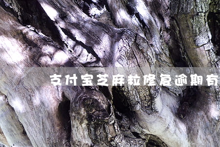 支付宝芝麻粒修复逾期有用吗