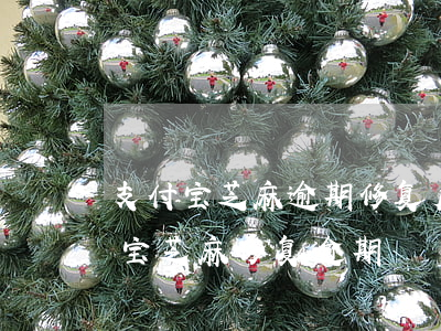 支付宝芝麻逾期修复后会影响芝麻分吗（支付宝芝麻修复逾期）