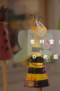支付宝花呗200逾期80天（花呗逾期800天后果）