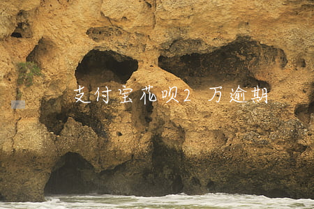 支付宝花呗2万逾期