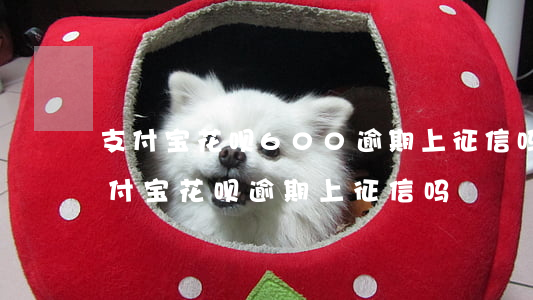 支付宝花呗600逾期上征信吗(2018支付宝花呗逾期上征信吗)