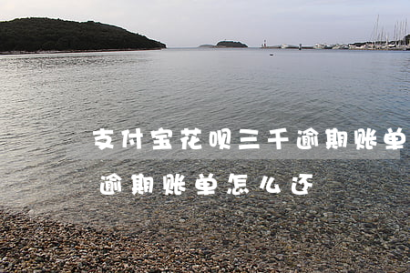 支付宝花呗三千逾期账单-支付宝花呗三千逾期账单怎么还