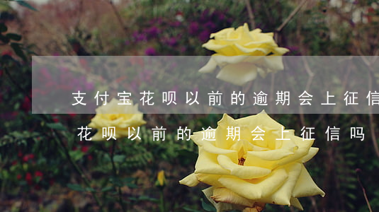 支付宝花呗以前的逾期会上征信吗-支付宝花呗以前的逾期会上征信吗