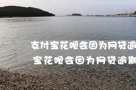支付宝花呗会因为网贷逾期不能用吗-支付宝花呗会因为网贷逾期不能用吗