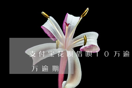 支付宝花呗借呗10万逾期(欠蚂蚁借呗10万逾期)
