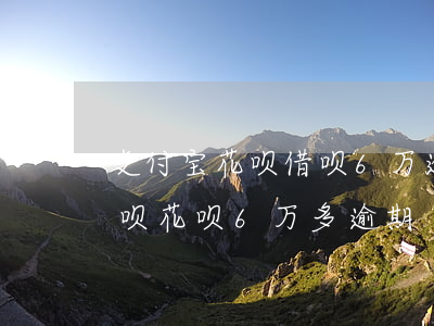 支付宝花呗借呗6万逾期2个月-支付宝借呗花呗6万多逾期