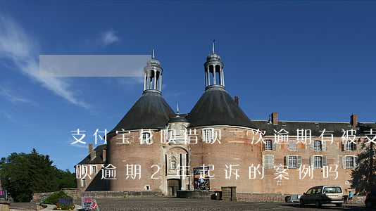 支付宝花呗借呗二次逾期(有被支付宝花呗借呗逾期2年起诉的案例吗?)