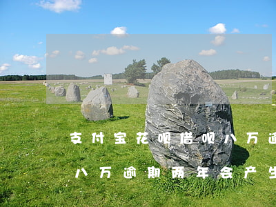 支付宝花呗借呗八万逾期-支付宝花呗借呗八万逾期两年会产生多少利息和罚息