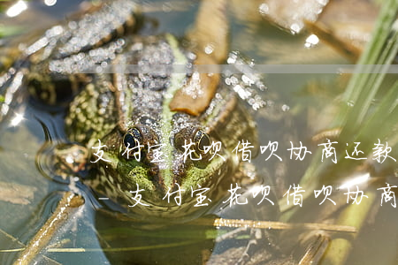 支付宝花呗借呗协商还款相对应的法律法规-支付宝花呗借呗协商还款相对应的法律法规是什么