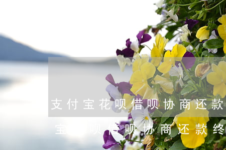 支付宝花呗借呗协商还款终于成功了-支付宝花呗借呗协商还款终于成功了怎么办
