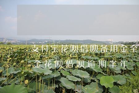 支付宝花呗借呗备用金全部逾期(支付宝备用金花呗借呗逾期半年)