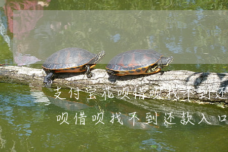 支付宝花呗借呗找不到还款入口-支付宝花呗借呗找不到还款入口怎么办