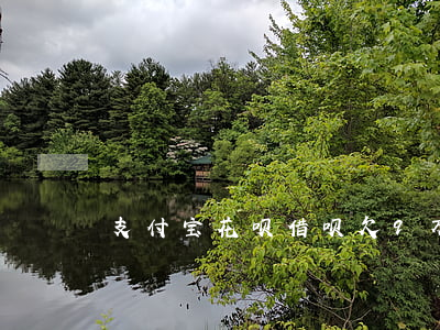 支付宝花呗借呗欠9万(蚂蚁借呗了8万)