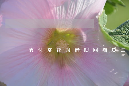 支付宝花呗借呗网商贷二十万逾期