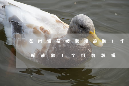 支付宝花呗借呗逾期1个月-支付宝花呗借呗逾期1个月会怎样